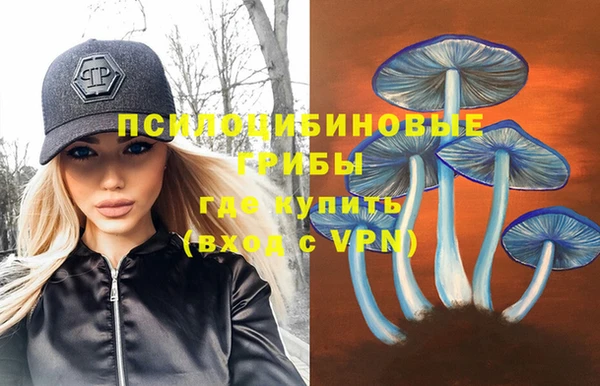 ешки Пересвет