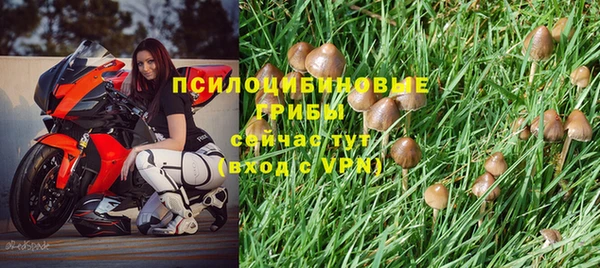 МДПВ Алзамай
