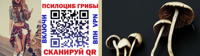 Псилоцибиновые грибы мицелий где найти наркотики Полевской